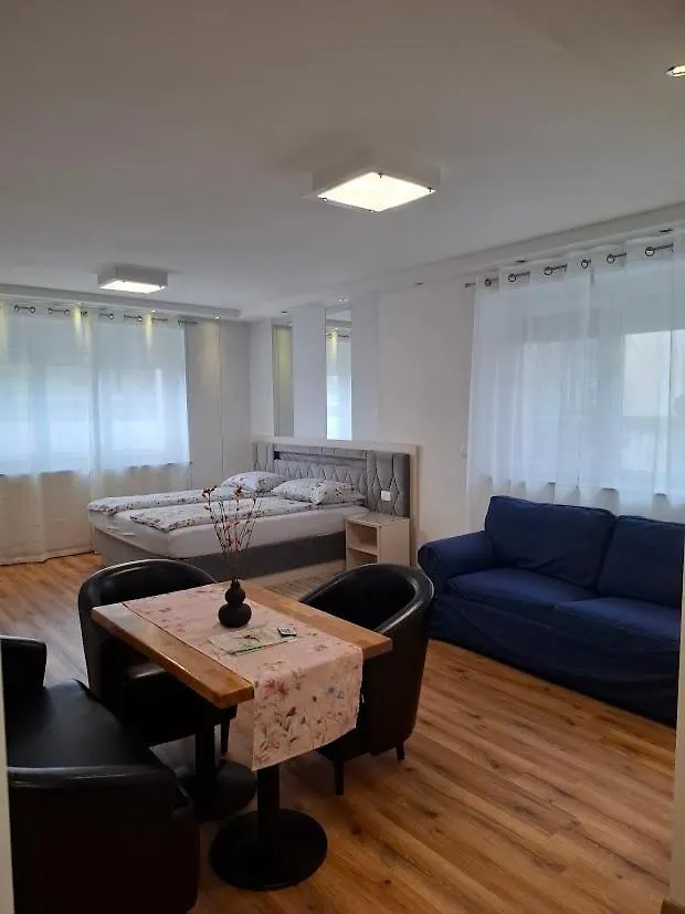Vila Ema Apartments And Rooms سلوفينيا