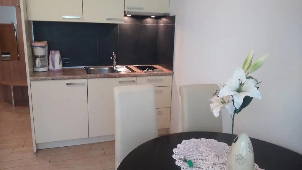 Vila Ema Apartments And Rooms ليوبليانا