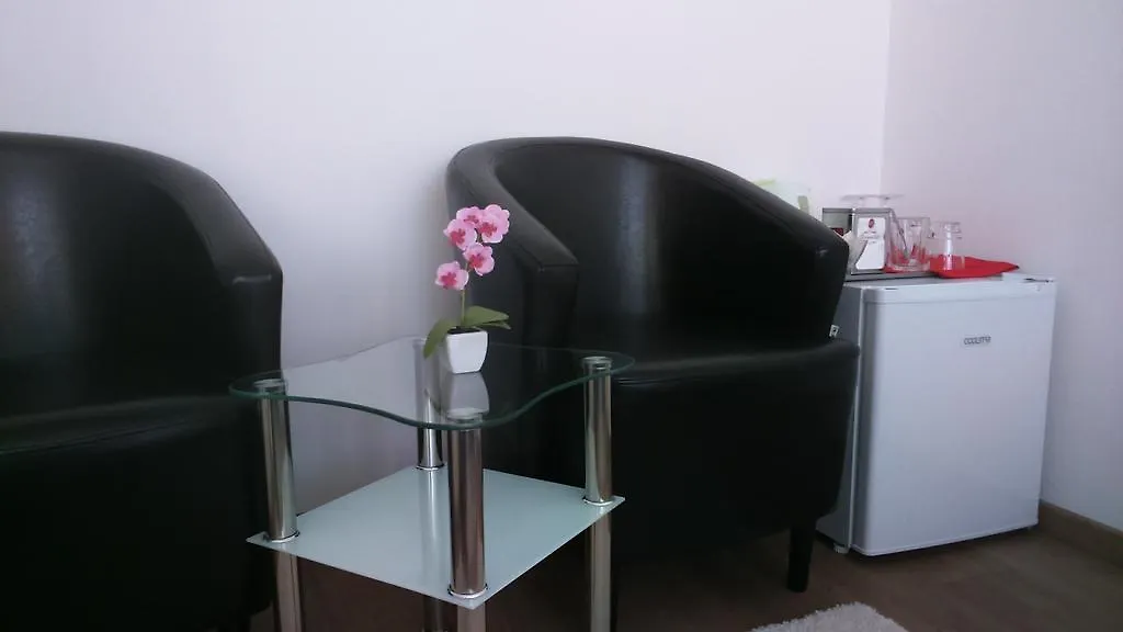 Vila Ema Apartments And Rooms سلوفينيا
