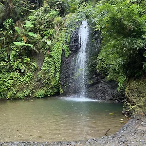 Le Ketmie Nature Et Decouverte Appartement Fond-Saint-Denis