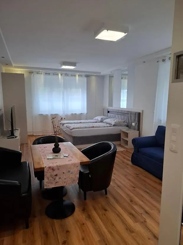 Vila Ema Apartments And Rooms Ljubljana