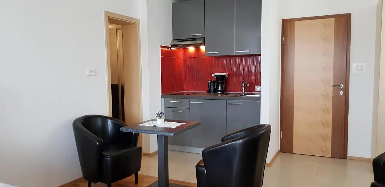 Vila Ema Apartments And Rooms Ljubljana