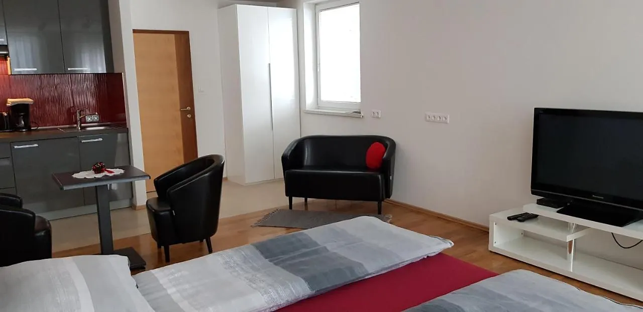 Vila Ema Apartments And Rooms Ljubljana