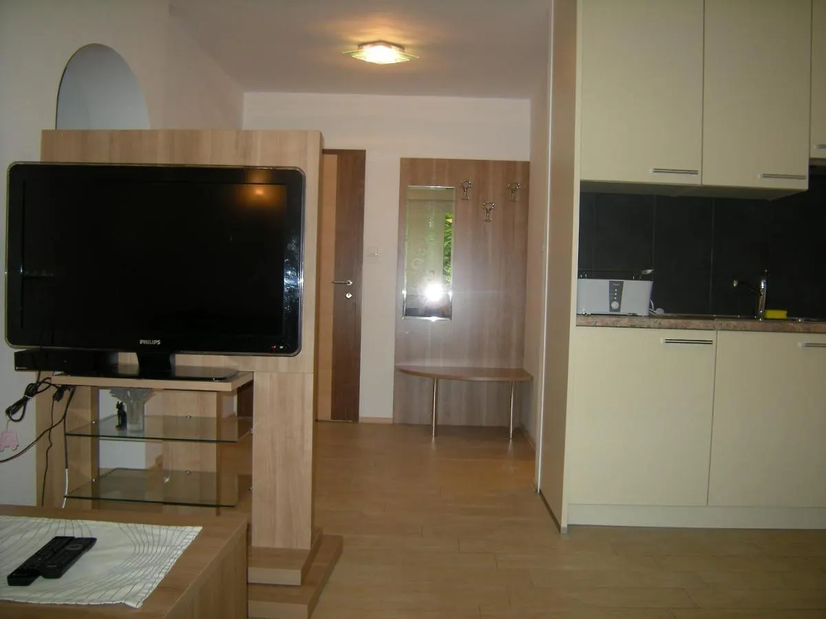 Vila Ema Apartments And Rooms Ljubljana